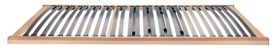 Selecta FR5 Lattenrost